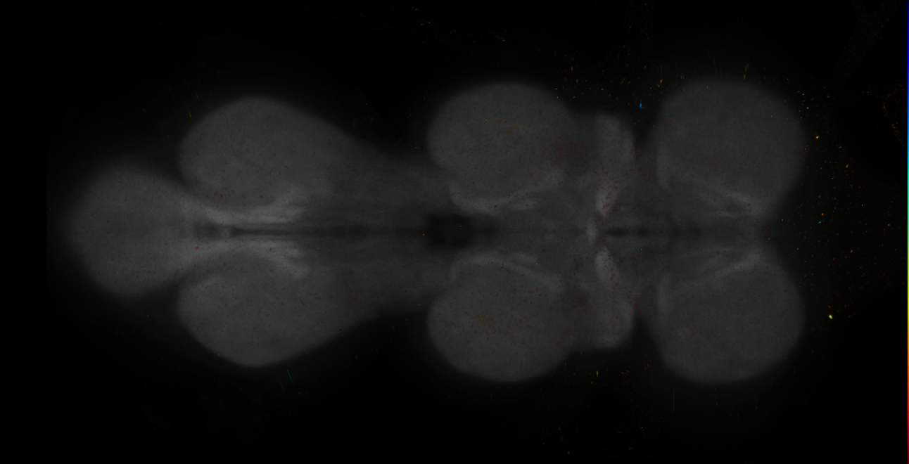 JRC_MB312B_VNC_2020__6