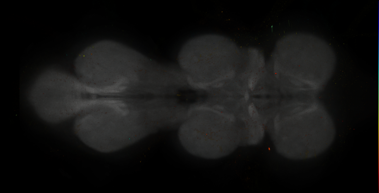 JRC_MB312B_VNC_2020__8