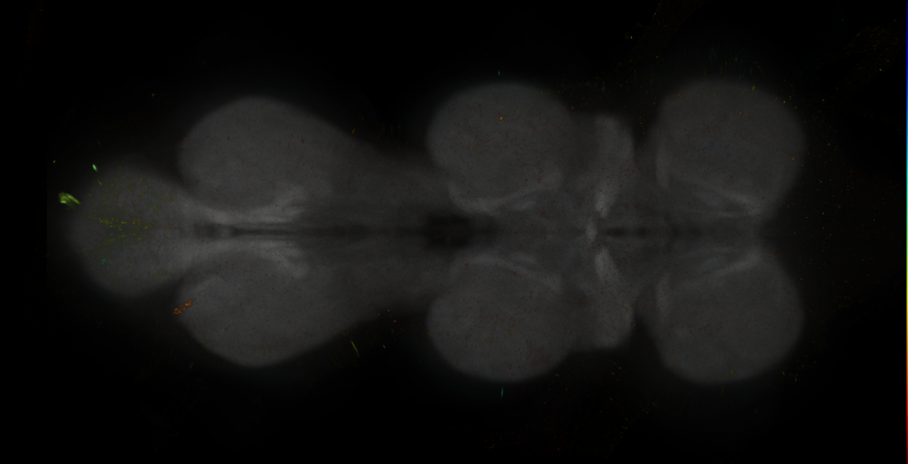 JRC_MB025B_VNC_2020__7