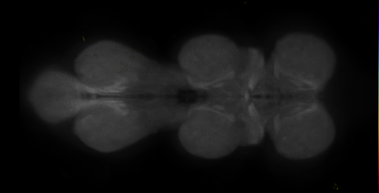 JRC_MB434B_VNC_2020__2