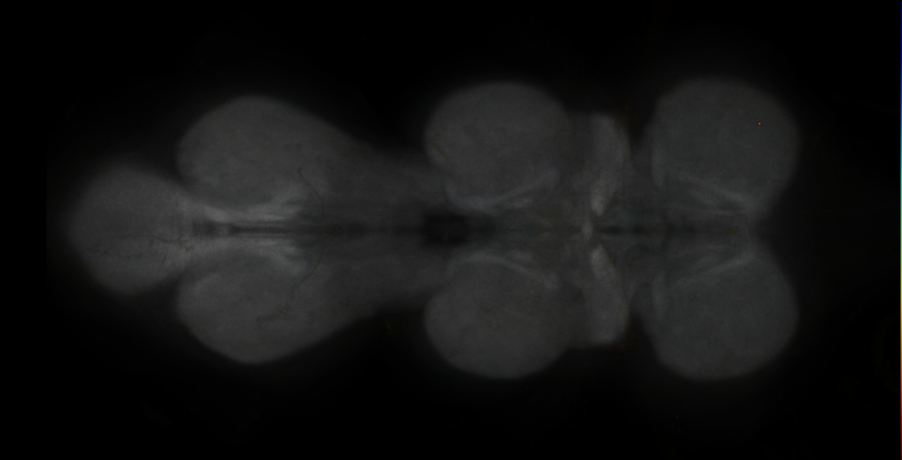 JRC_MB152B_VNC_2020__1