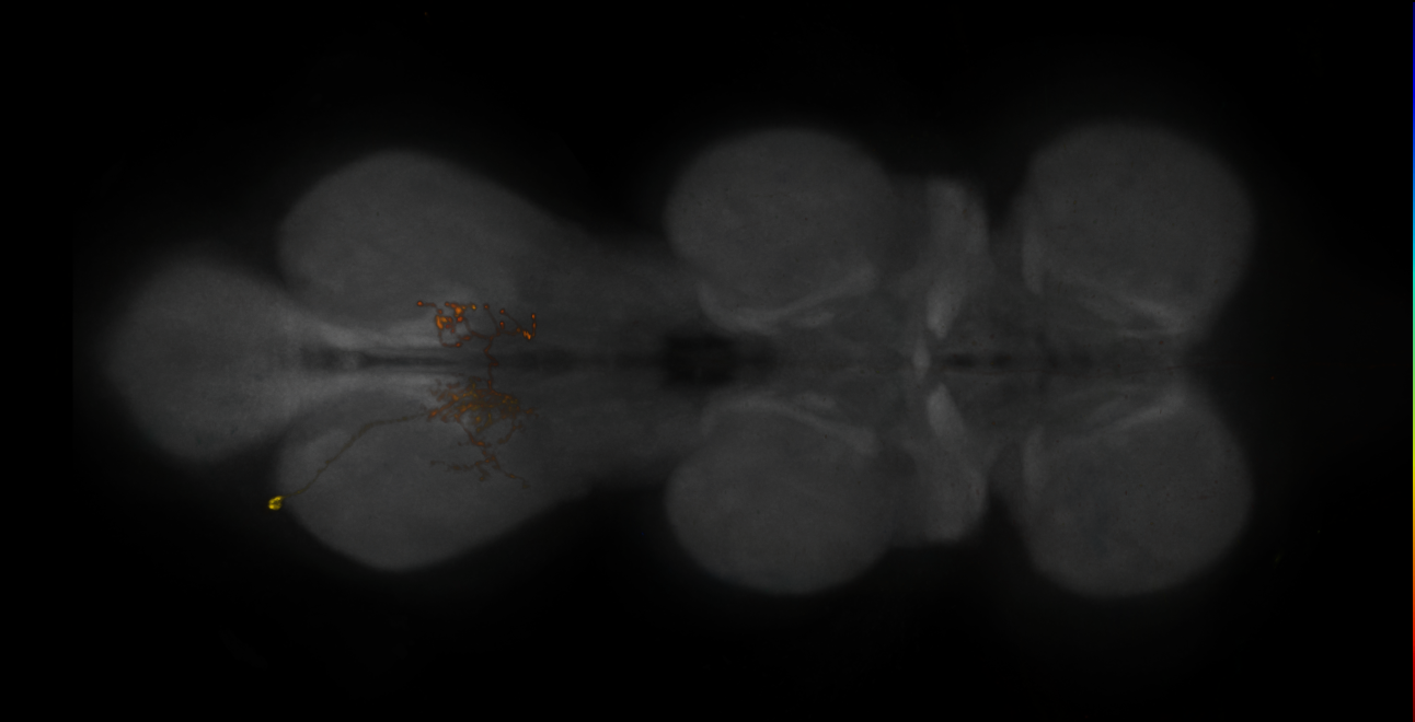 JRC_MB308B_VNC_2020__6