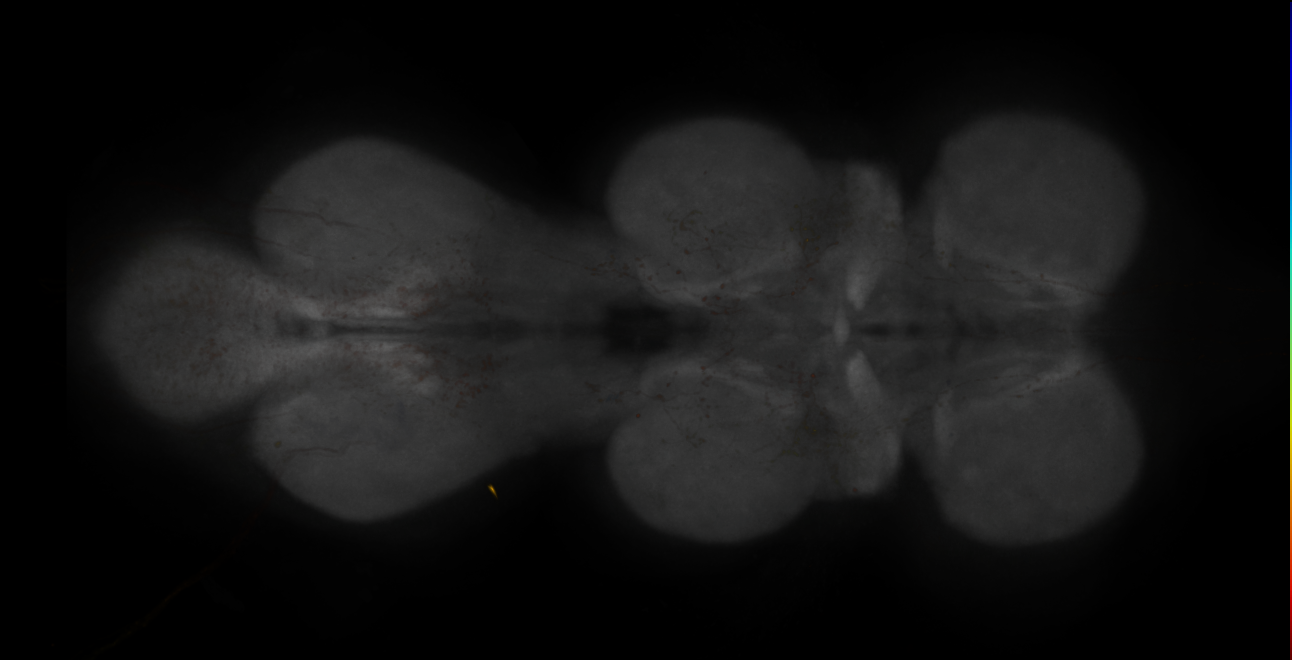 JRC_MB304B_VNC_2020__9