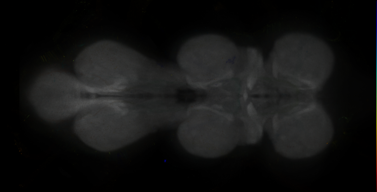 JRC_MB194B_VNC_2020__11