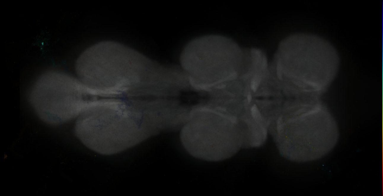 JRC_MB047B_VNC_2020__10