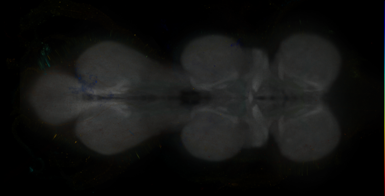 JRC_MB196B_VNC_2020__8
