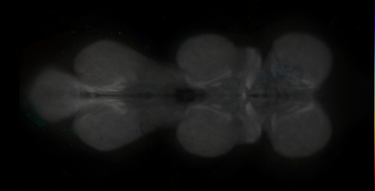JRC_MB109B_VNC_2020__8