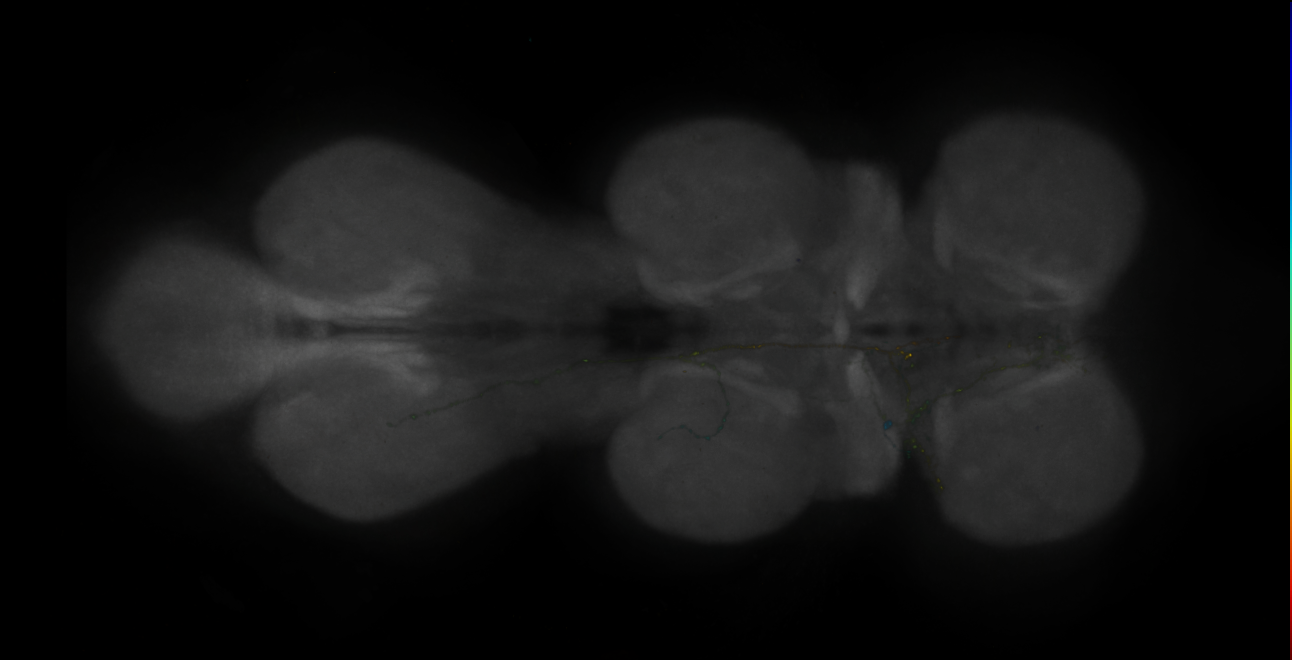 JRC_MB188B_VNC_2020__6