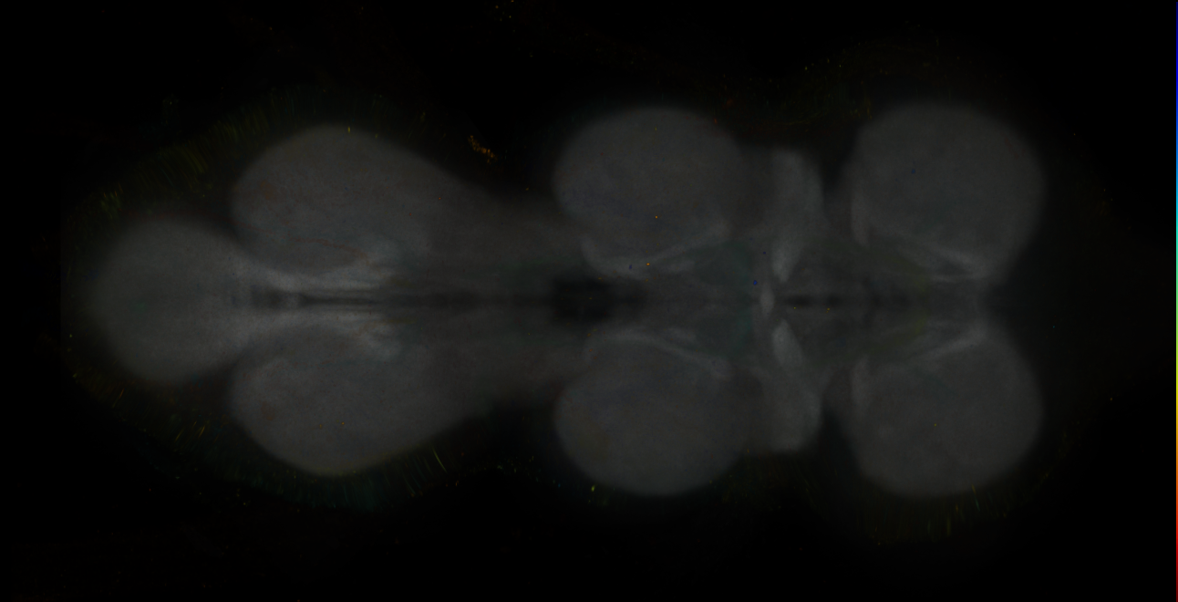 JRC_MB312C_VNC_2020__3