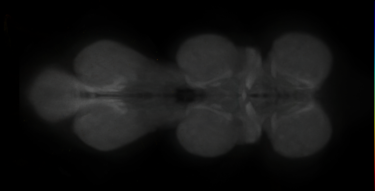 JRC_MB313C_VNC_2020__1