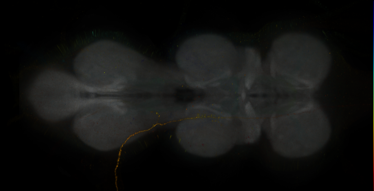 JRC_MB042B_VNC_2020__10