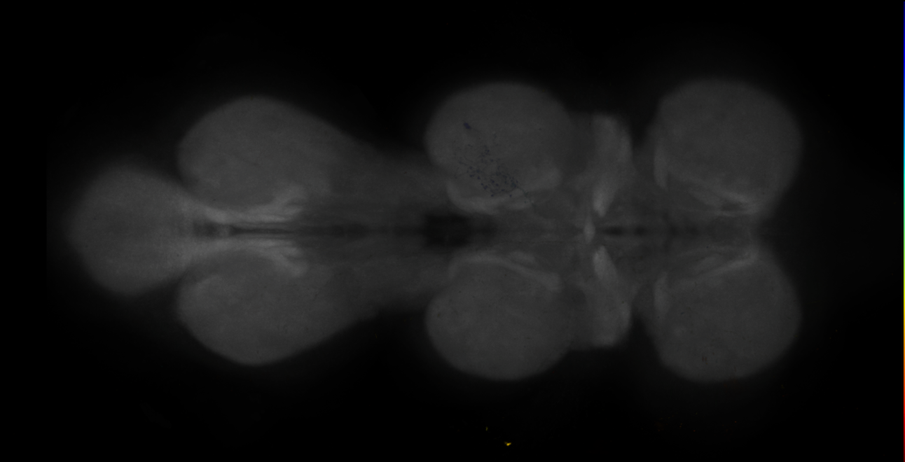 JRC_MB316B_VNC_2020__3