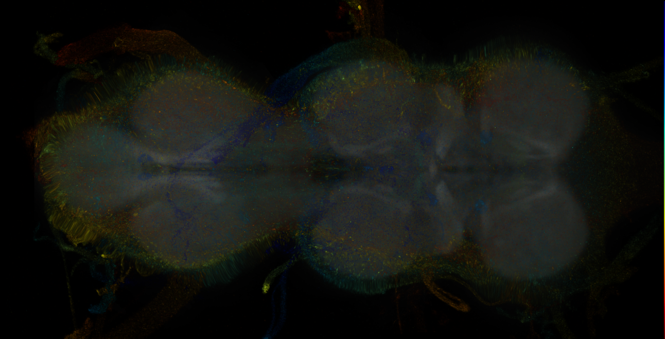 JRC_MB109B_VNC_2020__9