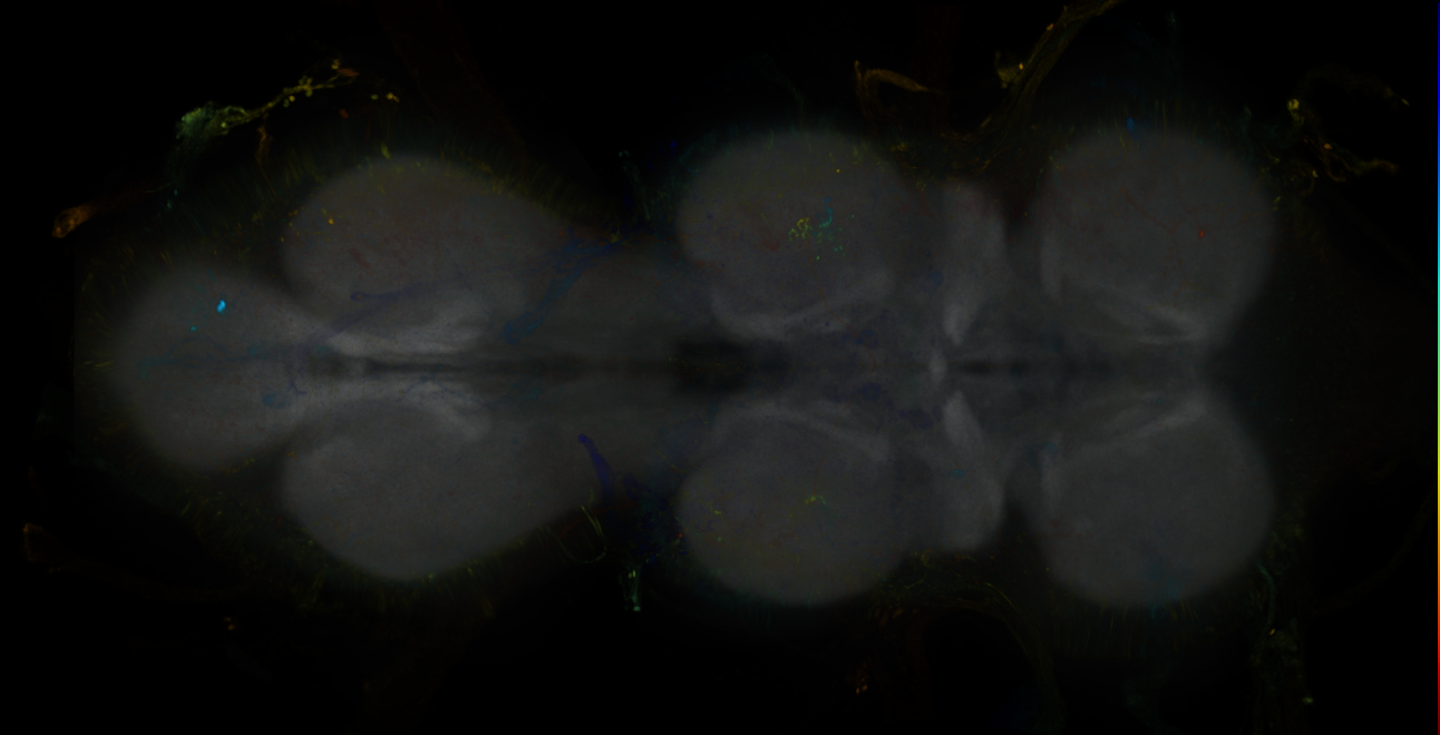 JRC_MB213B_VNC_2020__9