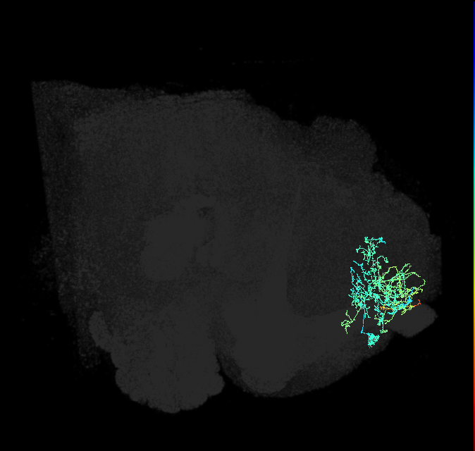 ADL27c_pct_R