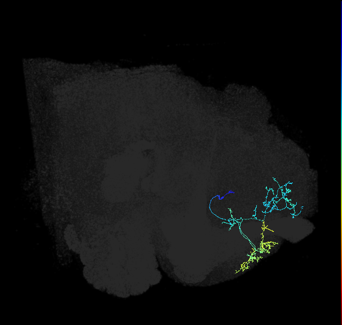 ADL15a_pct_R