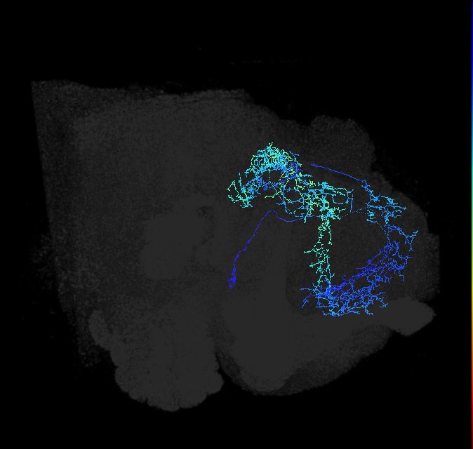 ADL24c_pct_R