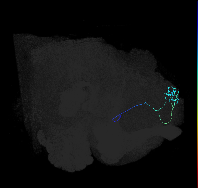 ADL09r_pct_R