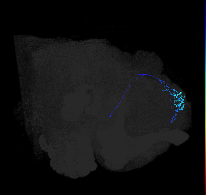 ADL04c_pct_R