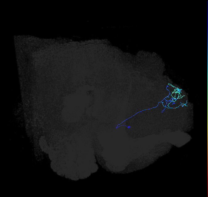 ADL09d_pct_R