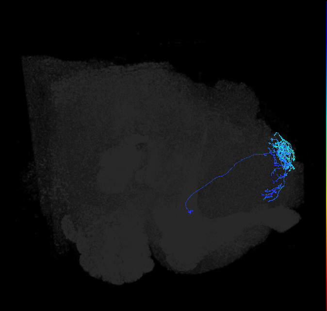 ADL23a_pct_R