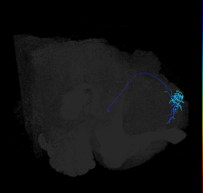 ADL10d_b_pct_R