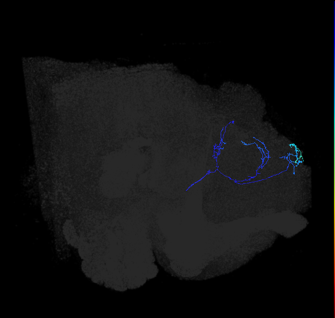 ADL01w_pct_R