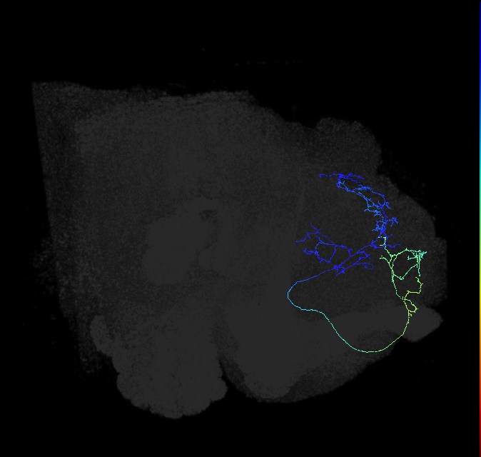 ADL15m_pct_R