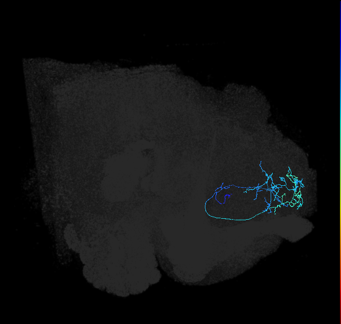 ADL03oa_pct_R