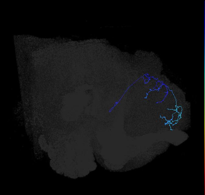 ADL10g_b_pct_R