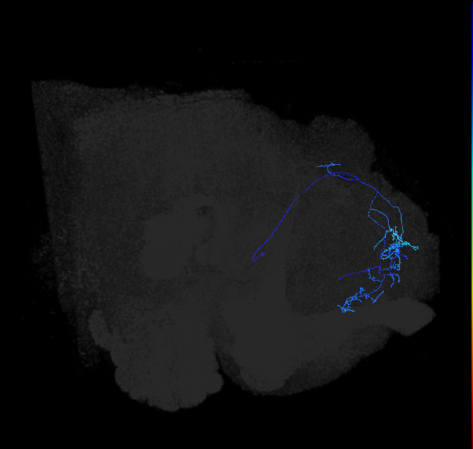 ADL10oc_pct_R