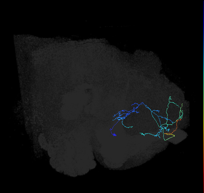 ADL13ld_pct_R