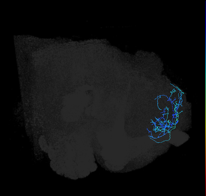 ADL18d_a_pct_R