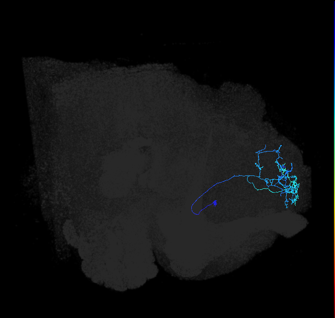 ADL23r_pct_R