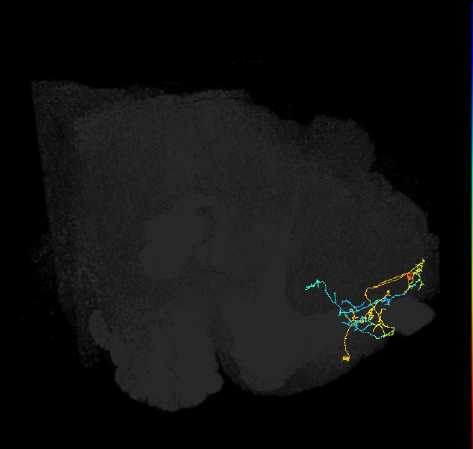 ADM04v_a_pct(aSP25b)_R