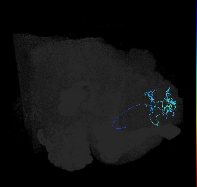 ADL20i_pct_R