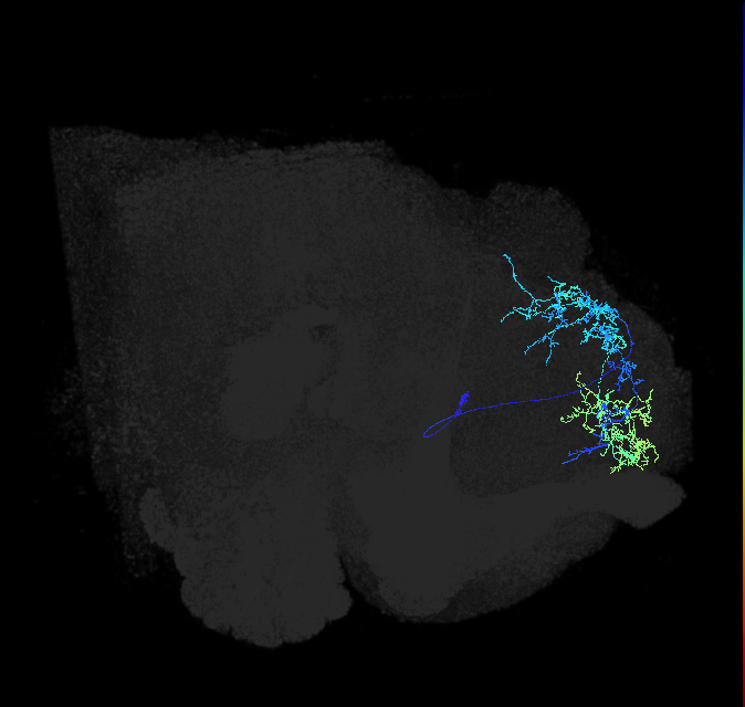 ADL29d_pct_R