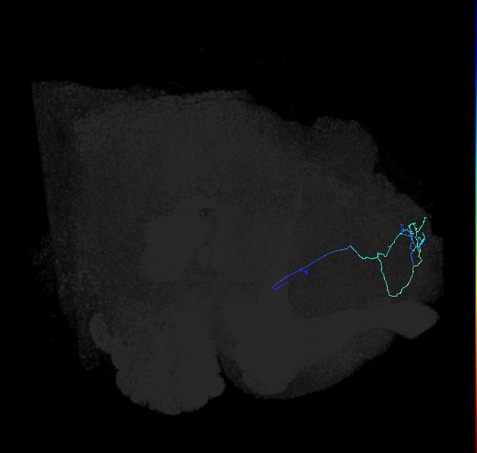 ADL09s_pct_R