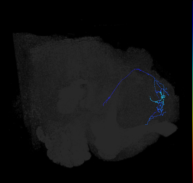 ADL10oc_pct_R