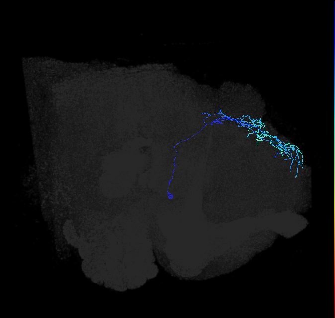 ADL24b_pct_R