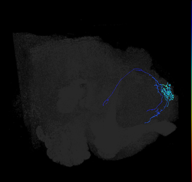ADL10h_pct_R