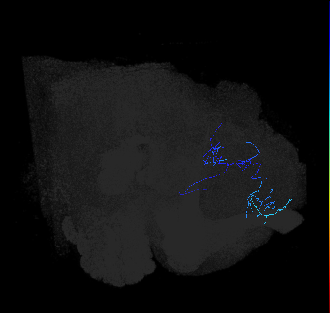 ADL11r_pct_R