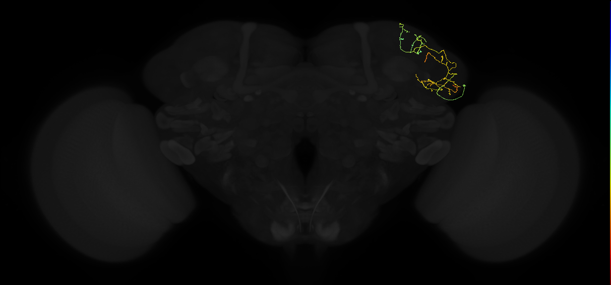 ADL11r_pct_R