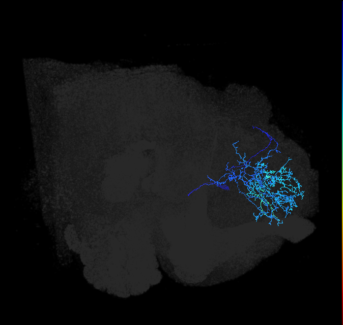 ADL01oc_pct_R