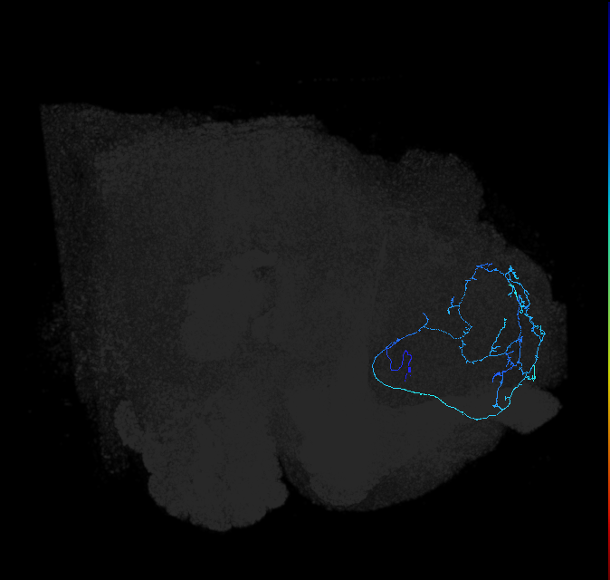 ADL03m_x_pct_R