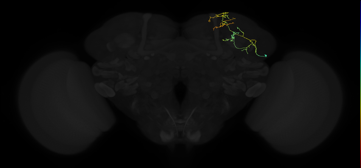 ADL13d_pct_R