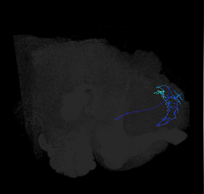 ADL07lx_pct_R