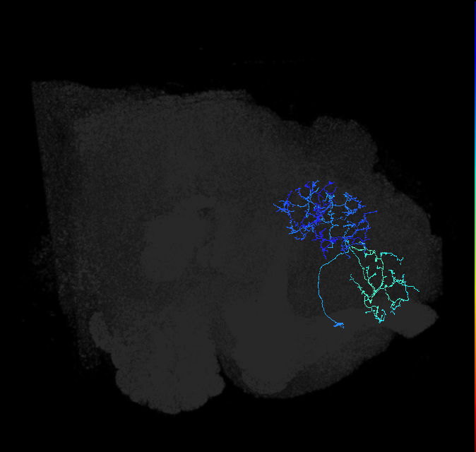 ADL12t_pct_R