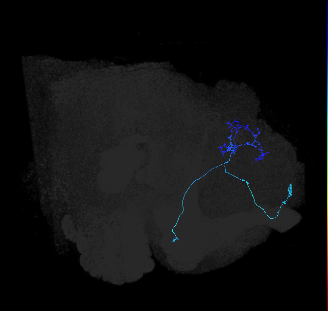 ADL19w_pct_R