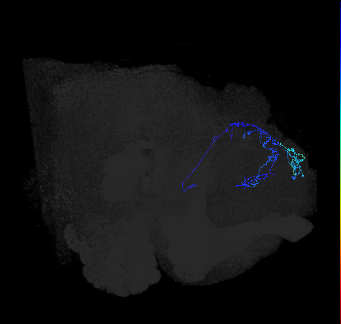 ADL10q_pct_R